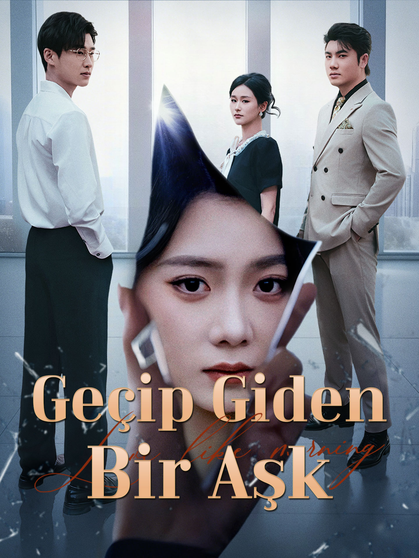 Geçip Giden Bir Aşk