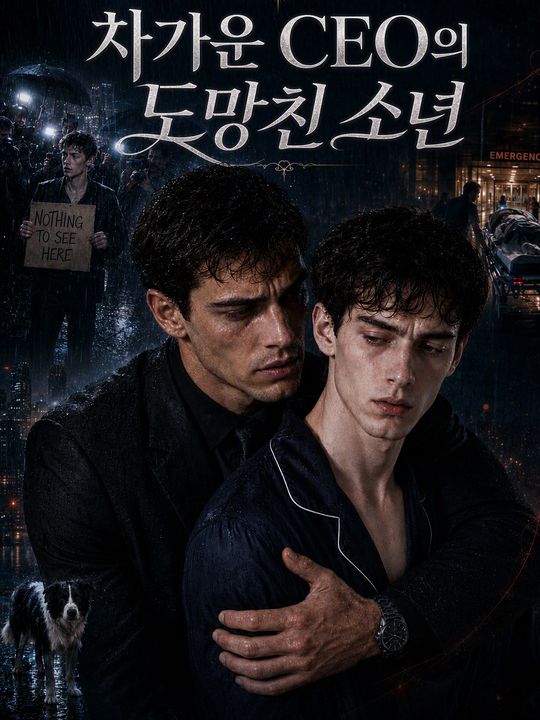 차가운 CEO의 도망친 소년