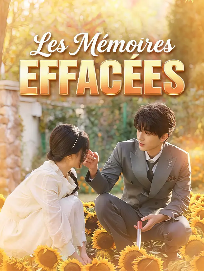 Les Mémoires Effacées