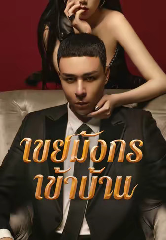 เขยมังกรเข้าบ้าน