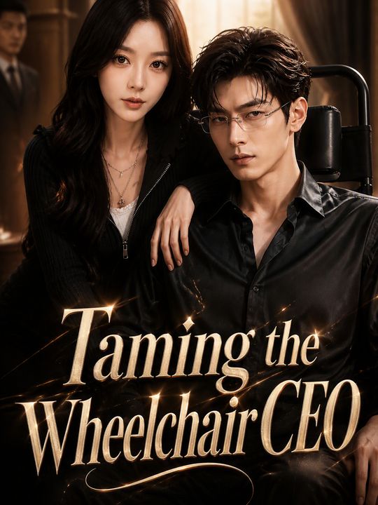 Taming the Wheelchair CEO