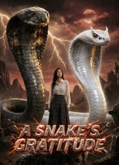 a snakes gratitude (2024)