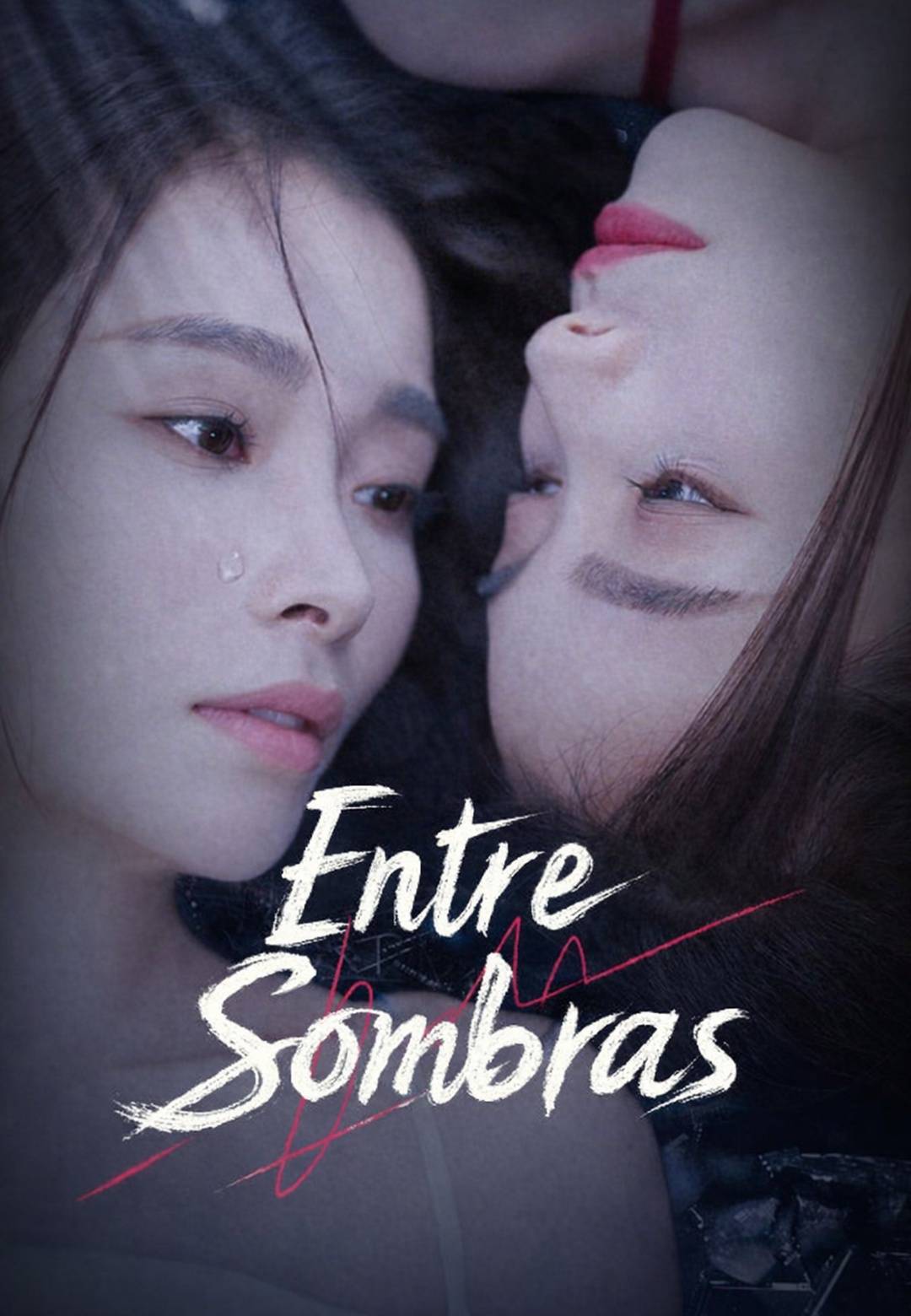 Entre Sombras
