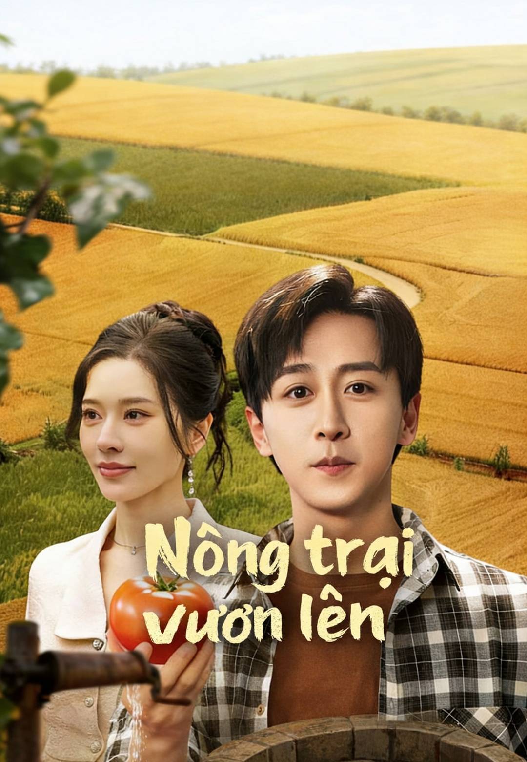 Nông trại vươn lên