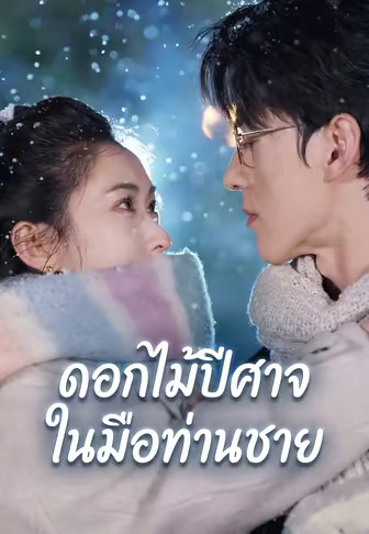 ดอกไม้ปีศาจในมือท่านชาย