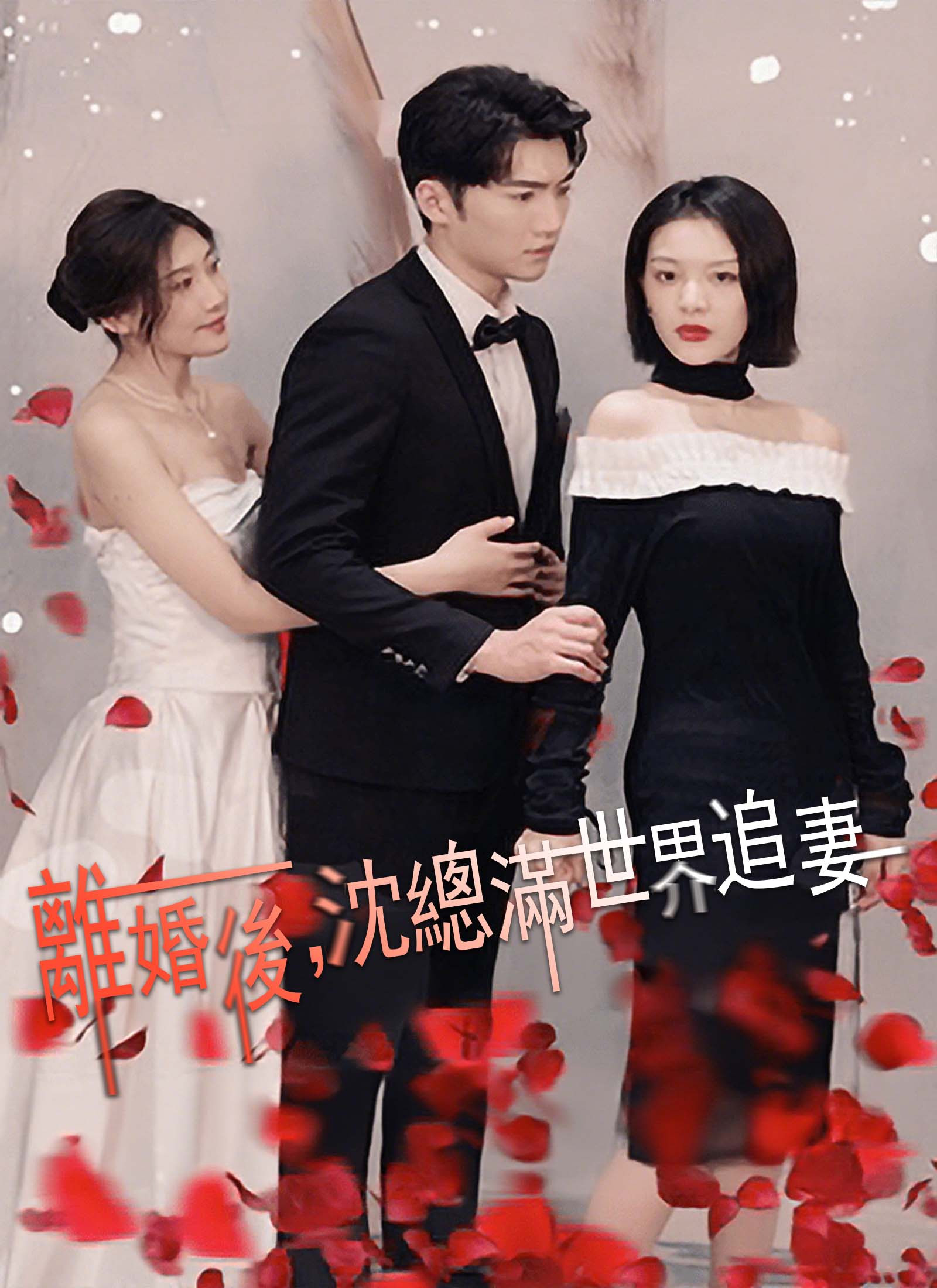 After the divorce, Mr. Shen chases his wife around the world (2025)