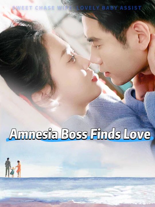 O Chefe com Amnésia Encontra o Amor (dublado)