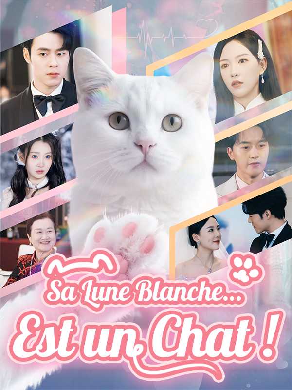Sa Lune Blanche…Est un Chat !