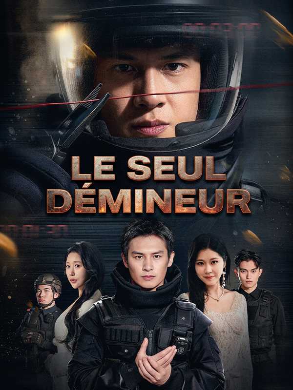 Le seul démineur