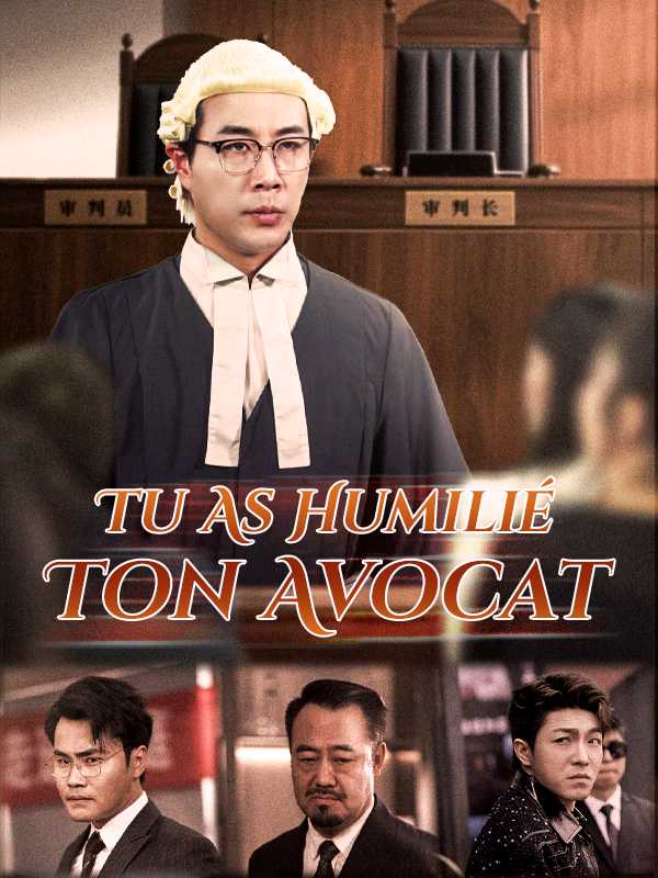 Tu As Humilié Ton Avocat