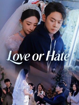 Love or Hate (Dubbed)