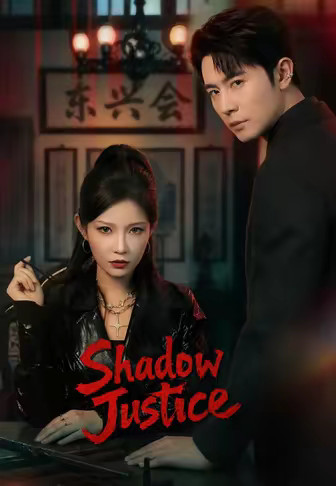 Shadow Justice
