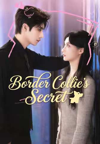 Border Collie's Secret