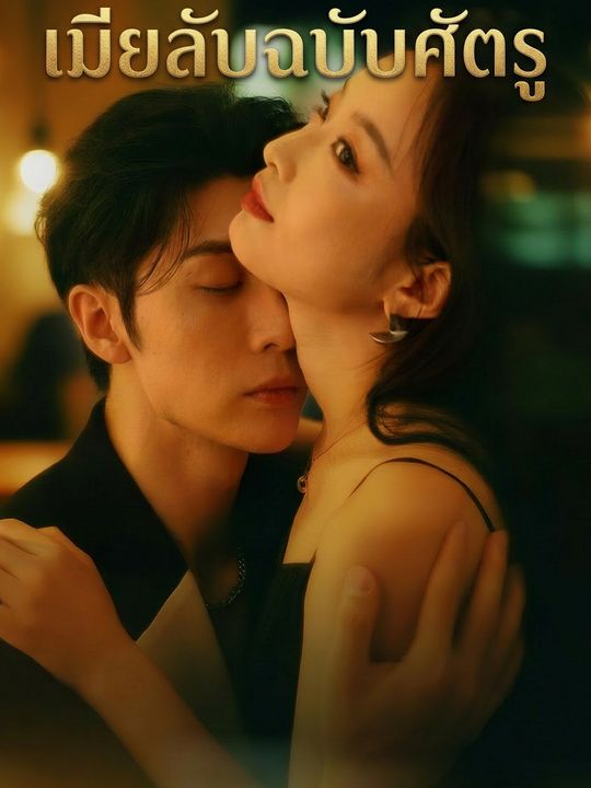 เมียลับฉบับศัตรู
