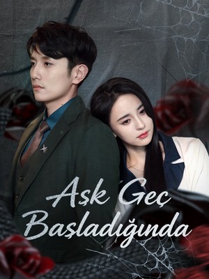Aşk Geç Başladığında