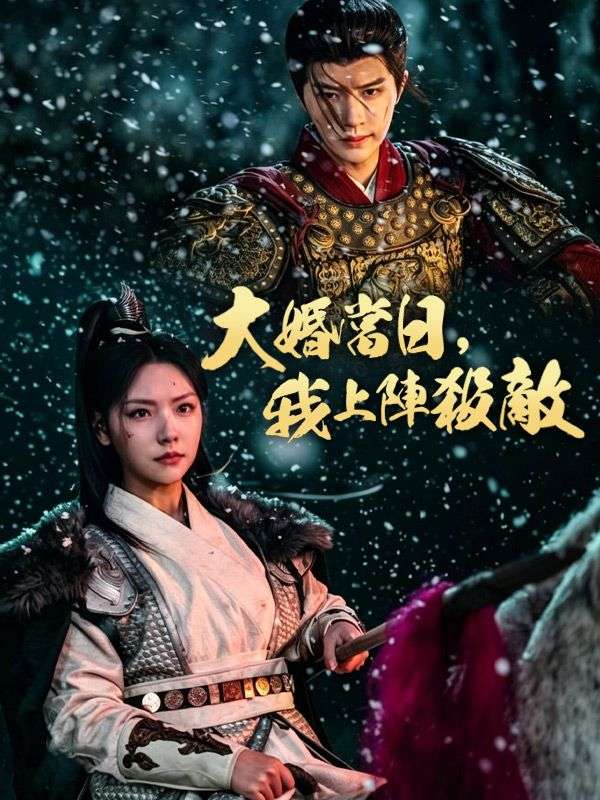 大婚當日，我上陣殺敵