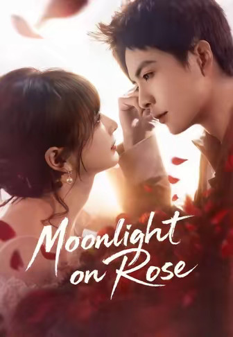 Moonlight on Rose