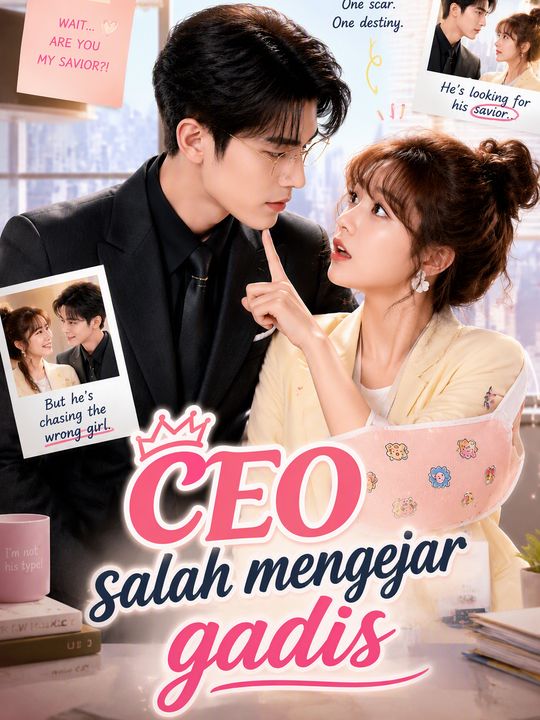 CEO salah mengejar gadis