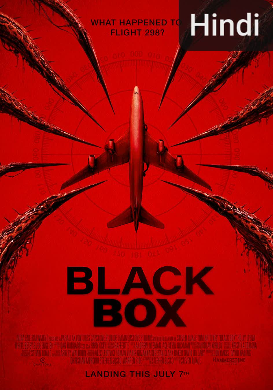 Black Box [Hindi] (2026)