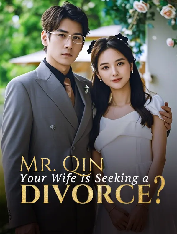 Mr. Qin, Your Wife Is Seeking a Divorce?(Dubbed)