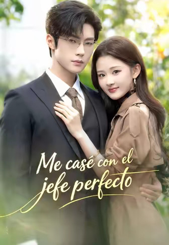 Me casé con el jefe perfecto